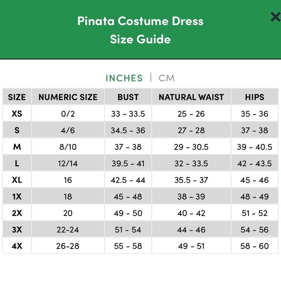 PINATA COSTUME DRESS - Picture 6 of 6